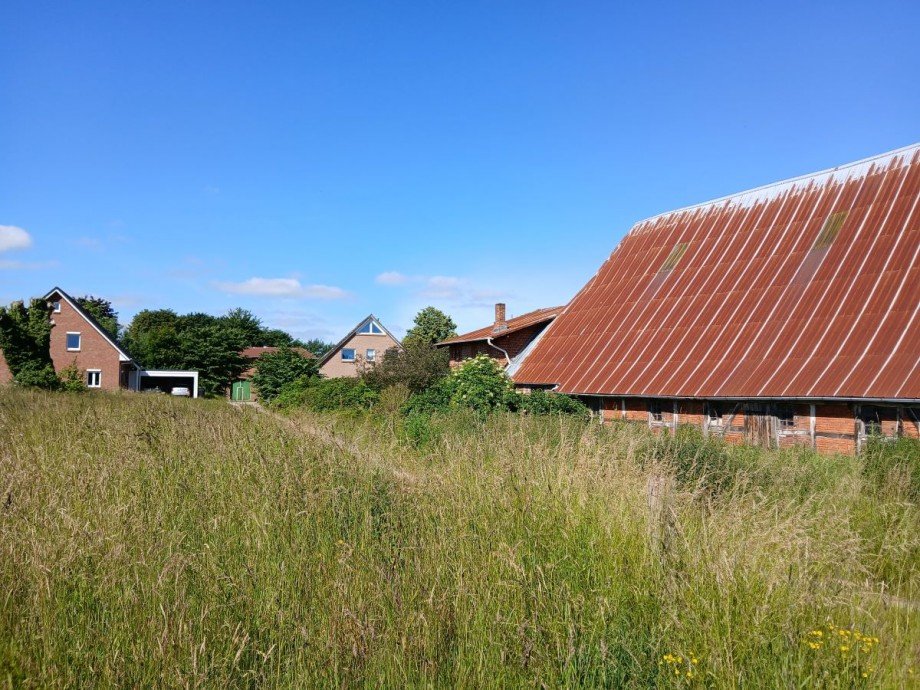 Bild 2 Wohngrundst�ck S�sel-Fassensdorf