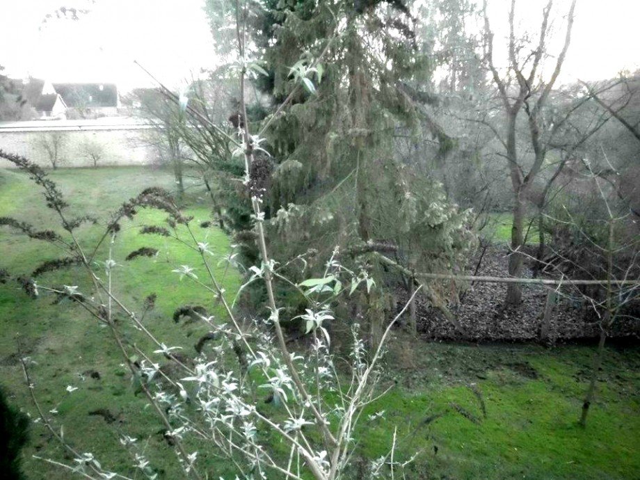 Blick vom Balkon Erdgeschosswohnung M�lln