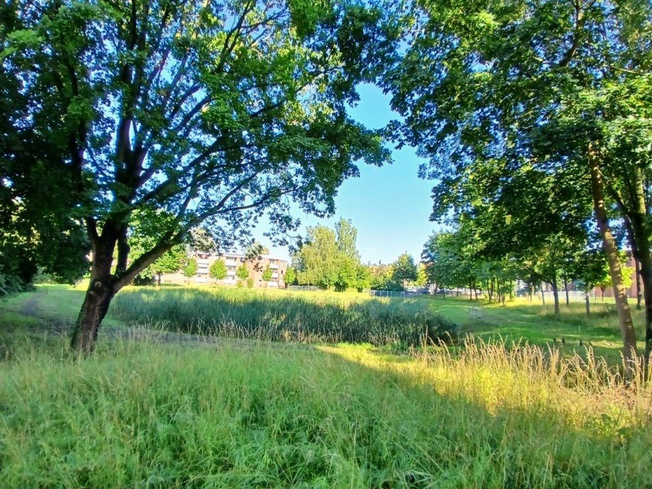 Blick ins Gr�ne Wohnung L�beck - Travem�nde